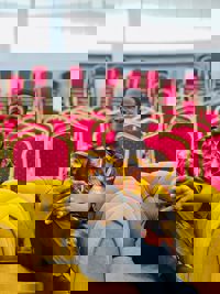 Anyanwaokoro chibuokem Michael 's profile picture